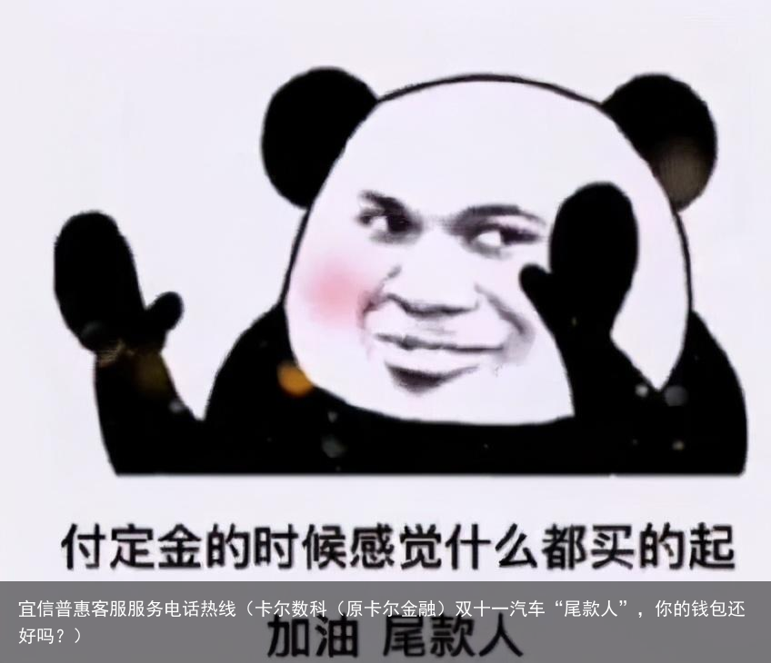 卡尔数科（原卡尔金融）双十一汽车“尾款人”，你的钱包还好吗？