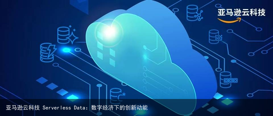 亚马逊云科技 Serverless Data：数字经济下的创新动能