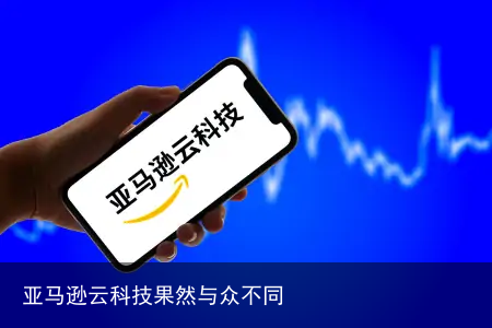 亚马逊云科技果然与众不同