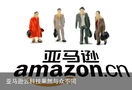 亚马逊云科技果然与众不同