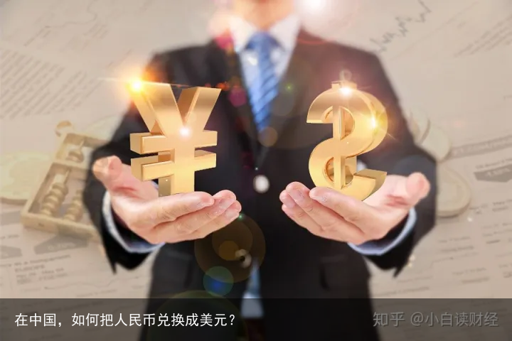 在中国，如何把人民币兑换成美元？