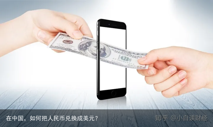 在中国，如何把人民币兑换成美元？