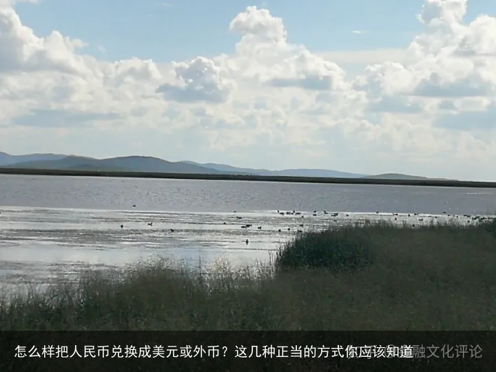 怎么样把人民币兑换成美元或外币