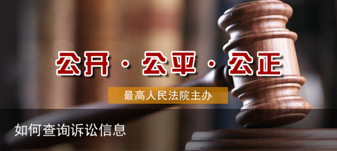 如何查询诉讼信息