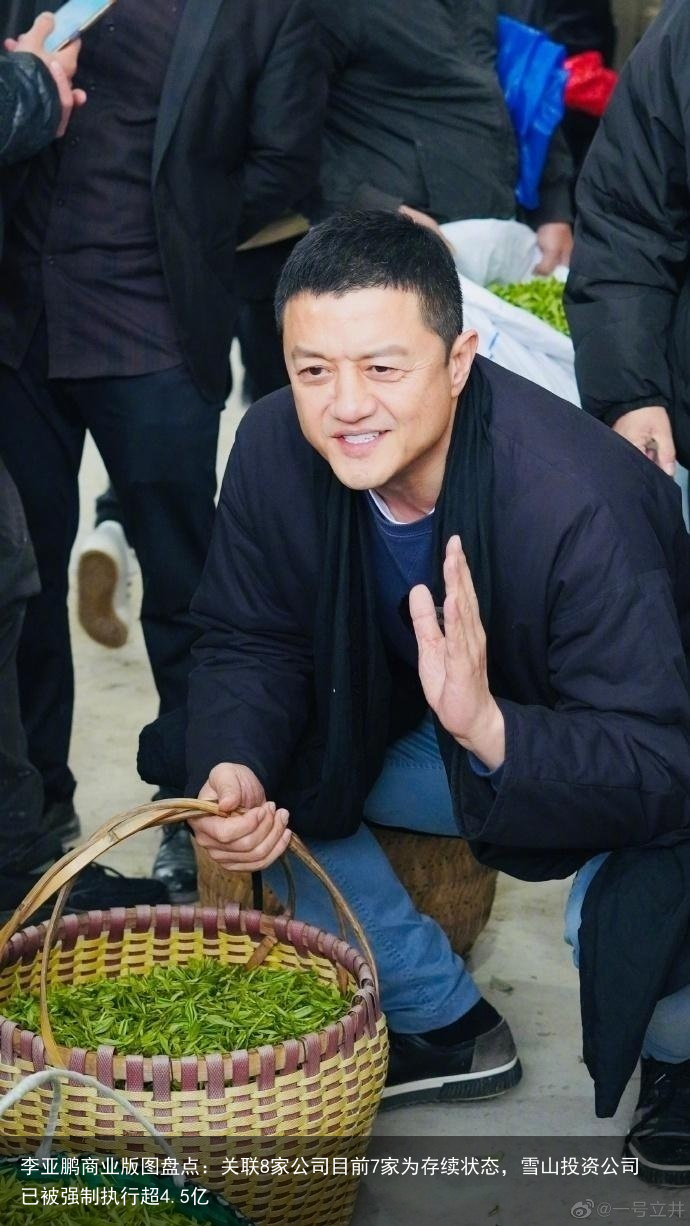 李亚鹏商业版图盘点：关联8家公司目前7家为存续状态，雪山投资公司已被强制执行超4.5亿