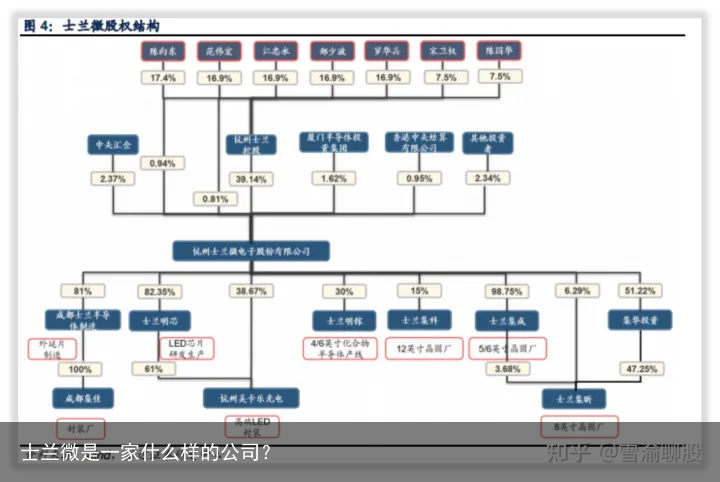 士兰微是一家什么样的公司？