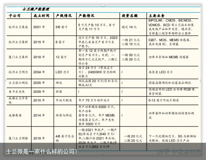 士兰微是一家什么样的公司？