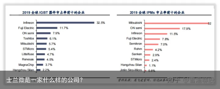 士兰微是一家什么样的公司？