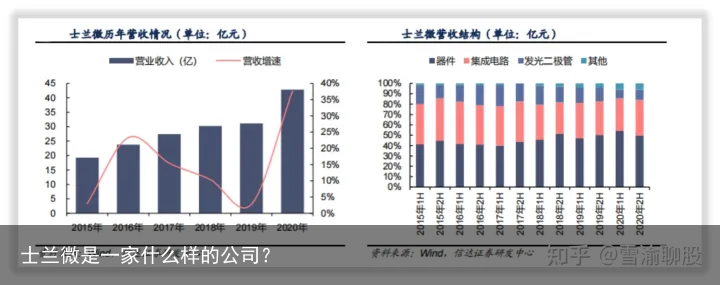 士兰微是一家什么样的公司？