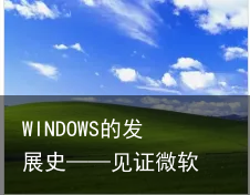 WINDOWS的发展史——见证微软