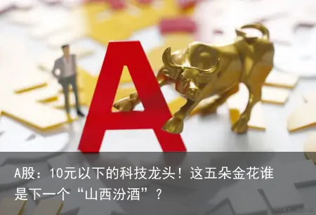 A股：10元以下的科技龙头！这五朵金花谁是下一个“山西汾酒”？