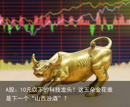 A股：10元以下的科技龙头！这五朵金花谁是下一个“山西汾酒”？