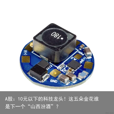 A股：10元以下的科技龙头！这五朵金花谁是下一个“山西汾酒”？