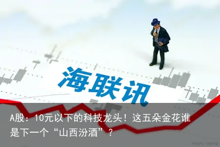 A股：10元以下的科技龙头！这五朵金花谁是下一个“山西汾酒”？