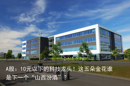 A股：10元以下的科技龙头！这五朵金花谁是下一个“山西汾酒”？