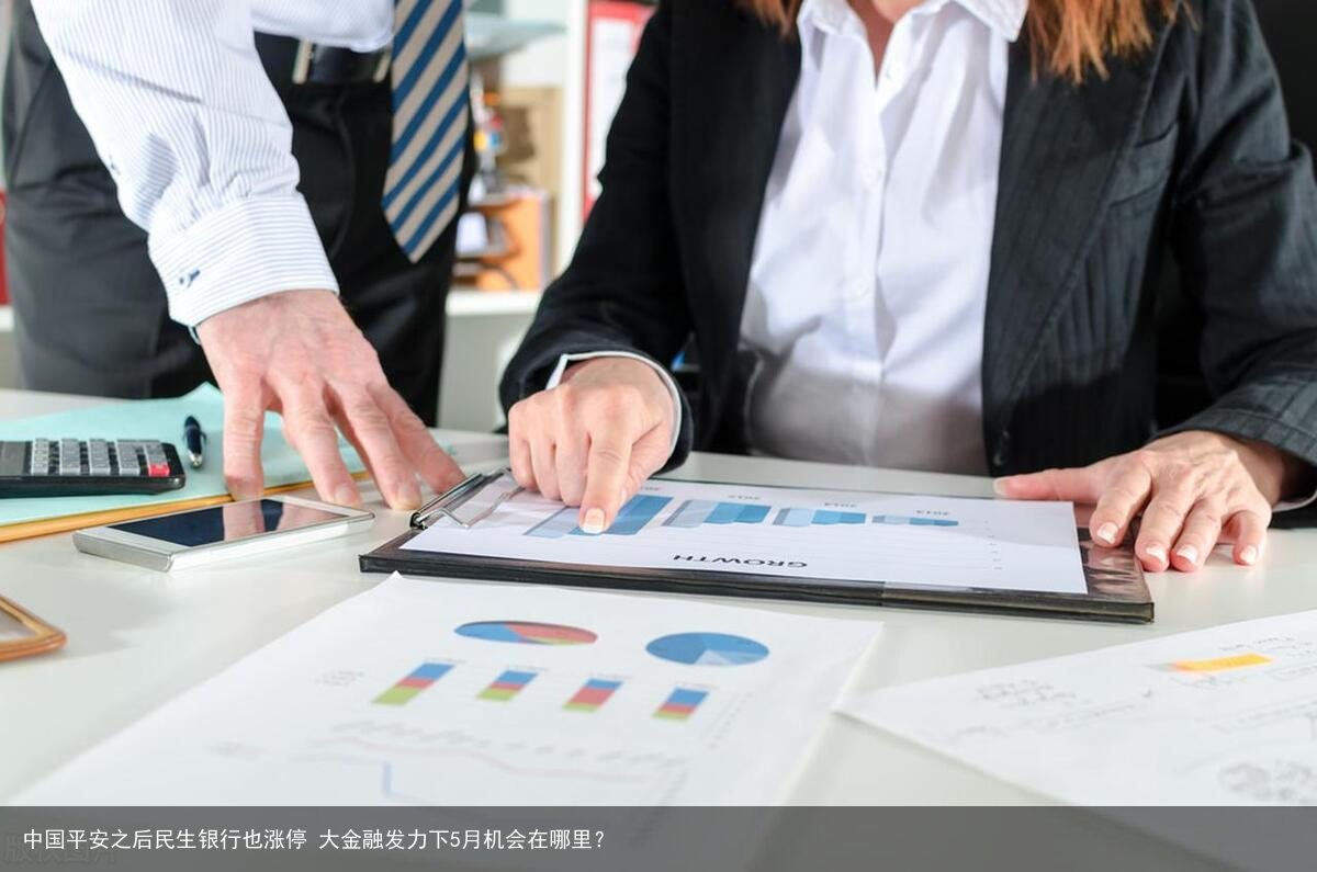 中国平安之后民生银行也涨停 大金融发力下5月机会在哪里？