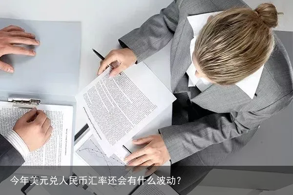 今年美元兑人民币汇率还会有什么波动？