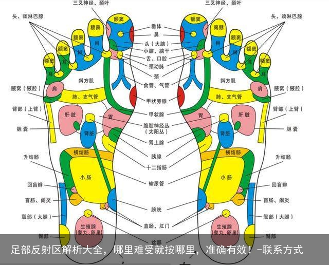 足部反射区解析大全，哪里难受就按哪里，准确有效！-联系方式