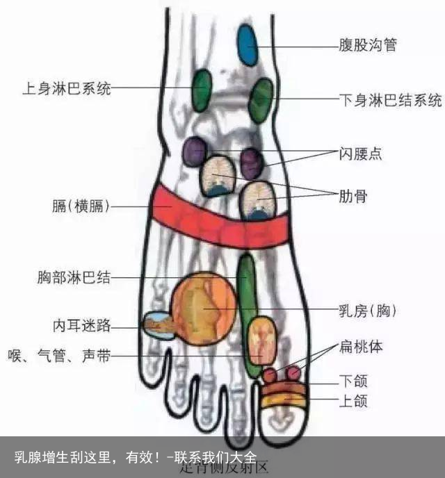 乳腺增生刮这里，有效！-联系我们大全