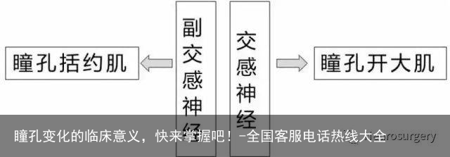 瞳孔变化的临床意义，快来掌握吧！-全国客服电话热线大全